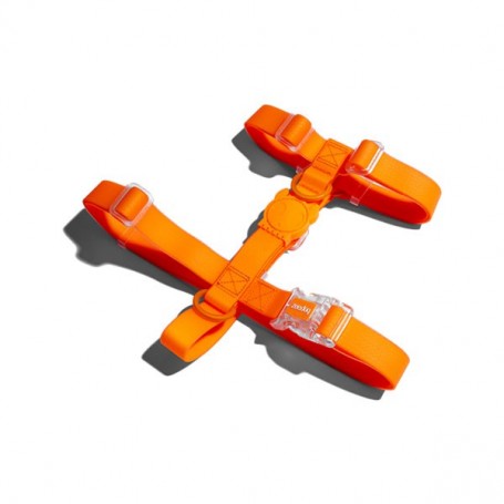 Zeedog NeoPro Arnes H Amazonia Small