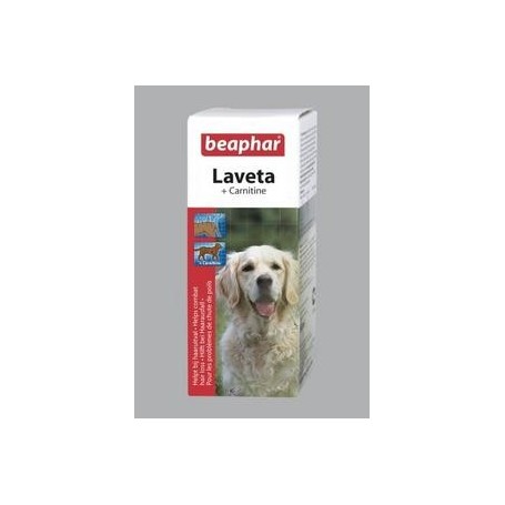 l carnitina en perros VITAMINAS + CARNITINA PET´S 250ML main image 1