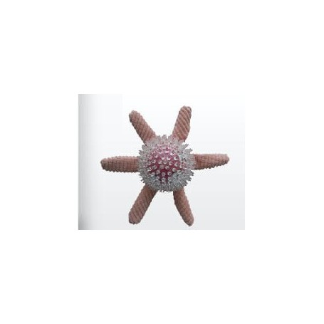 Juguete Peluche pulpo