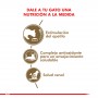 Royal Canin Felino Ageing 11+ 2 kg