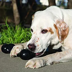 Juguete Hueso Kong Goodie Bone Extreme M