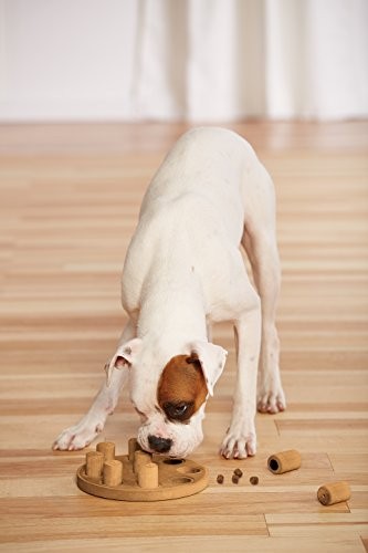 Juguete para perro/ Nina Ottosson Dog Smart N1