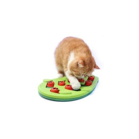 Juguete Buggin Out Puzzle N2 Nina Ottosson