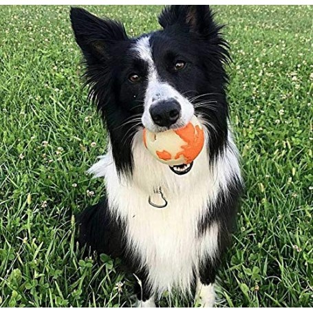 Juguete Pelota Planet Dog Naranja Medium