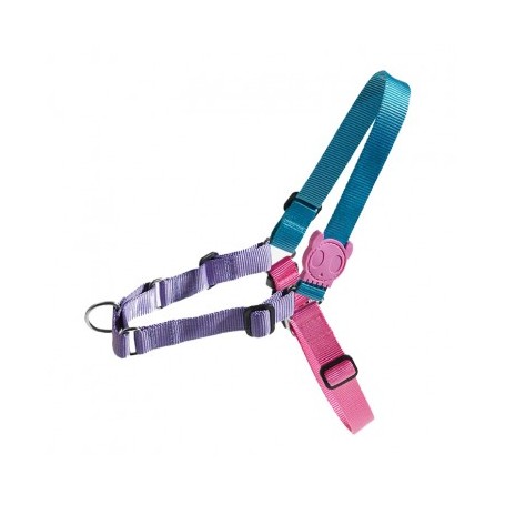 Arnes Zeedog Aurora Soft Walk Medium