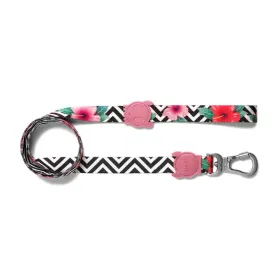 Correa ZeeDog Mahalo Large