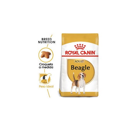 Royal Canin Beagle Adulto 3kg