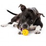 Juguete Planet Dog Nooks