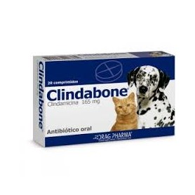 Clindabone Clindamicina 165mg