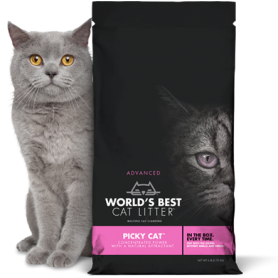 Arena WBCL Pink Cat 5.4 kg