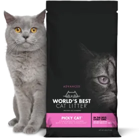 Arena WBCL Pink Cat 5.4 kg
