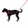 Neon Coral Soft-Walk Harness Medium