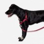 Bordeau Soft-Walk Harness Small