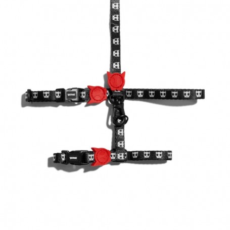 Skull 2.0 Harness + Leash Set