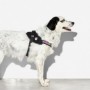 Arnes Zeedog Gotham Flyharness Size 5