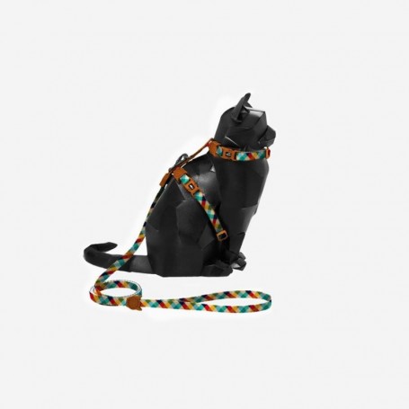 Phantom Harness + Leash Set