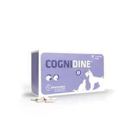 Cognidine 60 tabletas