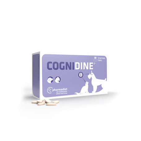 Cognidine 60 tabletas