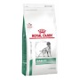 Royal Canin Vet Diet Canino Diabetic 10Kg