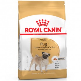 Royal Canin Pug Adulto 2.5kg