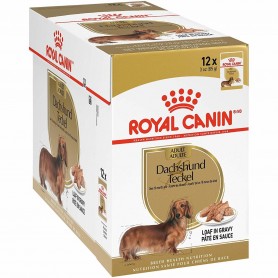 Pack 12 Royal Canin Pouch...