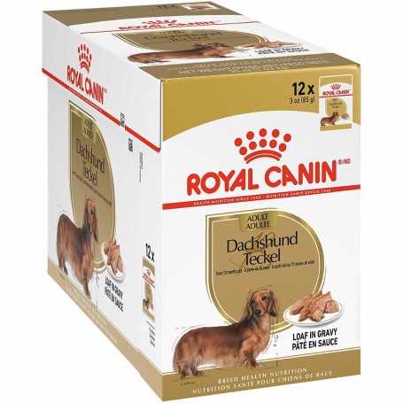 Pack 12 Royal Canin Canino Pouch Húmeda Dachshund 85 grs