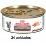 Pack 24 Alimento Humedo Royal Canin Felino Intestinal