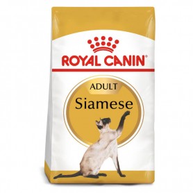 Royal Canin Breed Nutrition Siames 38 1.5Kg