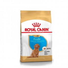 Royal Canin Poodle Cachorro...