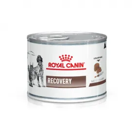 Pack 24 Latas Royal Canin Canino y Felino Húmedo Recovery 145 grs 3...