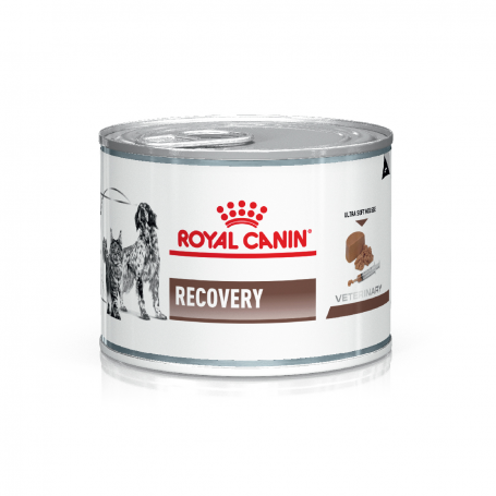 Pack 24 Latas Royal Canin Canino y Felino Húmedo Recovery 145 grs