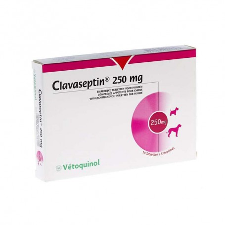 Clavaseptin Amoxicilina 250 mg 10 comprimidos Masticables