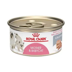 Royal Canin Babycat Instinctive Alimento Humedo 145 grs