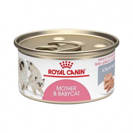 Royal canin outlet baby cat instinctive