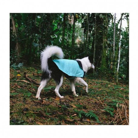 Abrigo Zeedog Menta XS