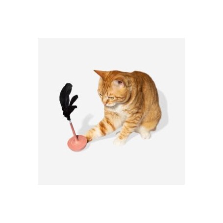 Juguete ZeeCat Teaser Citrus