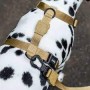 Arnes ZeeDog H Sand Large
