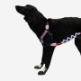 Arnes Zeedog Genie Soft Walk Large