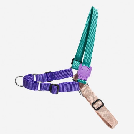 Arnes Zeedog Boogie Soft Walk Large