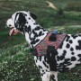 Arnes Zeedog Vortex Flyharness Size 5