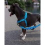 Arnes Zeedog Ultimate Blue Soft Walk Medium