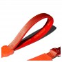 Correa Zeedog Crimson Air Leash