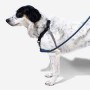 Arnes Zeedog Gotham Soft Walk Medium