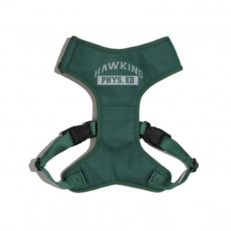 Arnes ZeeDog Airmesh Hawkins Stranger Things Medium