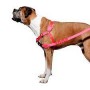 Arnes Zeedog Pink Led Soft Walk Medium