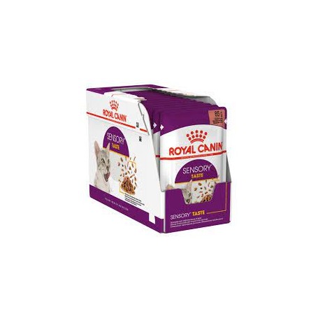 Pack 12 Royal Canin Felino Pouch Húmeda Sensory Taste 85 grs