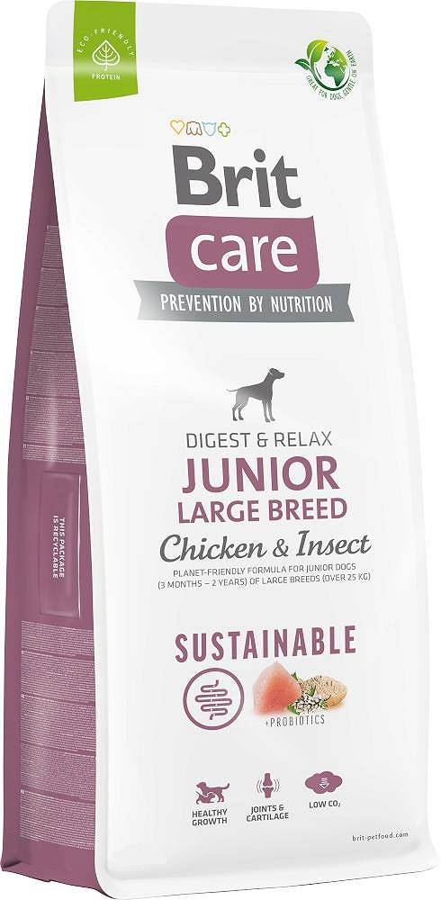 Brit Care Dog Getreidefrei Junior Large Lachs 12Kg