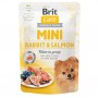 Pouch Brit Care Mini GF Conejo y Salmon Fillets in Gravy 85gr