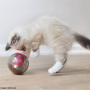 Pelota Entrenamiento Catmosphere Rosa