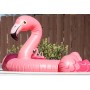 Juguete para Perro PLAY Tropical Flamingo